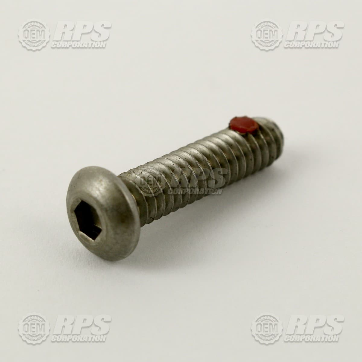H-02223 - Screw,BHSC,1/4-20x1" Stainless,w/Locking Pellet 